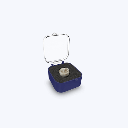 1" Crown Box Round, Clear with Foam