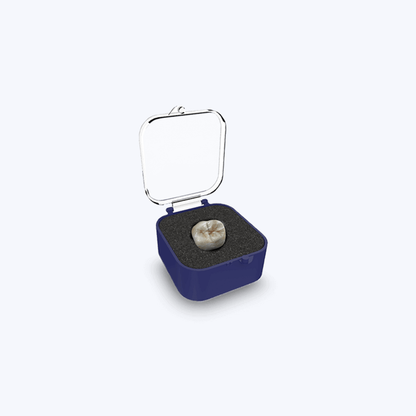 1" Crown Box – Clear with Foam (1000/CTN)