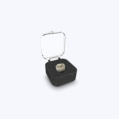 1" Crown Box – Clear with Foam (1000/CTN)