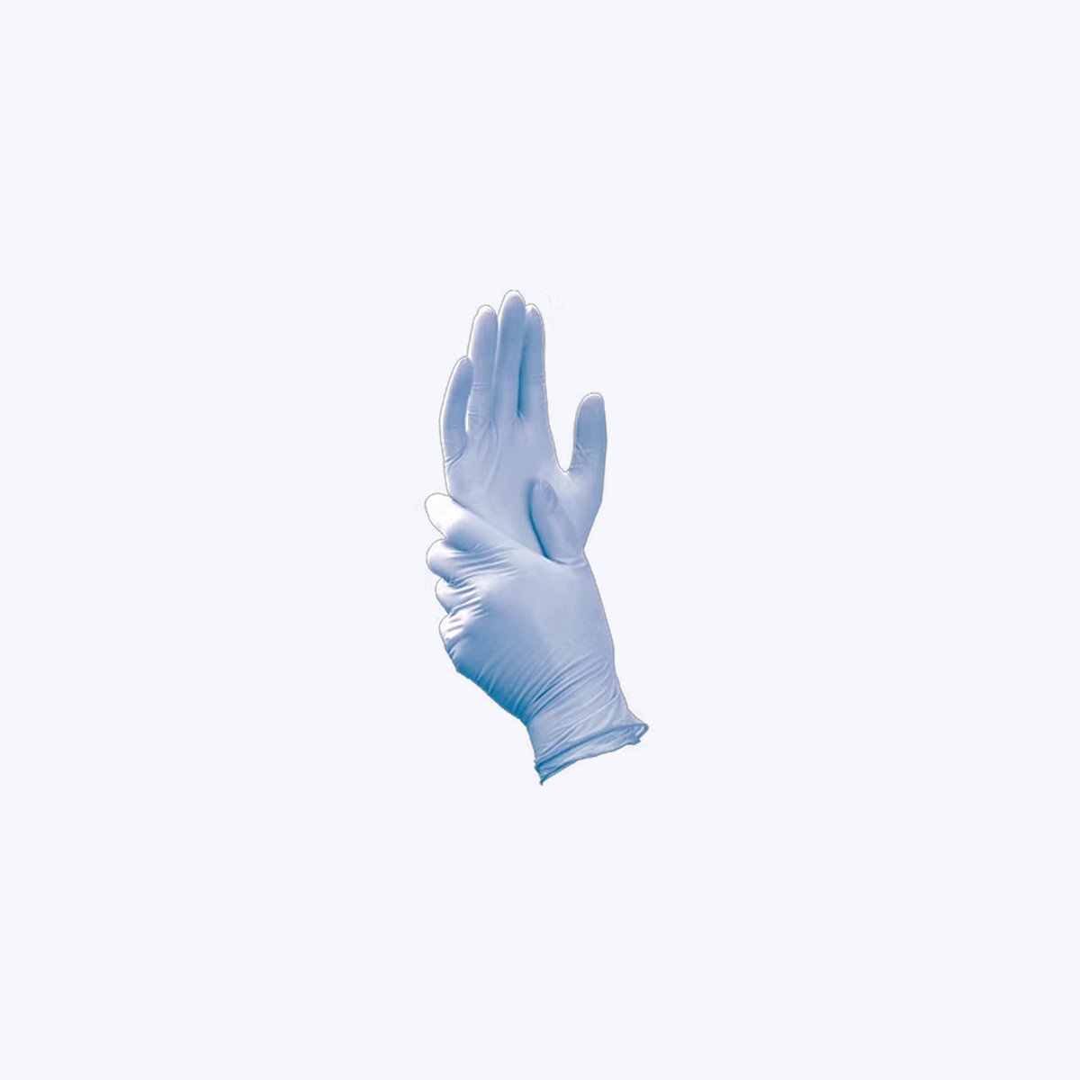 Blossom Powder Free Nitrile Exam  Gloves with C.O.A.T.S 200pcs